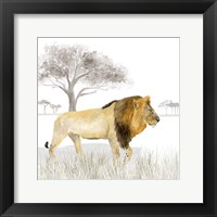 Serengeti Lion Square Framed Print