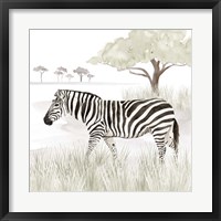 Serengeti Zebra Square Fine Art Print