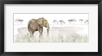 Serengeti Elephant horizontal panel Framed Print