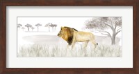 Serengeti Lion horizontal panel Fine Art Print