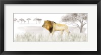Serengeti Lion horizontal panel Fine Art Print