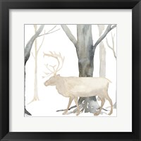 Winter Forest Elk Framed Print