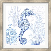 Coastal Sketchbook Sea Horse Fine Art Print