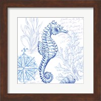 Coastal Sketchbook Sea Horse Fine Art Print