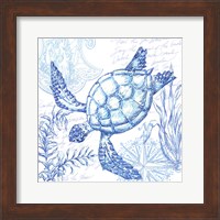 Coastal Sketchbook Turtle Fine Art Print