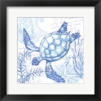 Coastal Sketchbook Turtle Framed Print