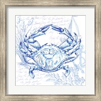 Coastal Sketchbook Crab Fine Art Print