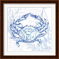 Coastal Sketchbook Crab Fine Art Print