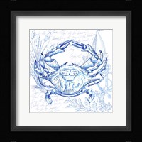 Coastal Sketchbook Crab Framed Print