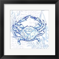 Coastal Sketchbook Crab Framed Print