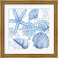 Coastal Sketchbook Shell Toss Fine Art Print