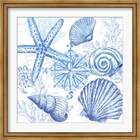 Coastal Sketchbook Shell Toss Fine Art Print