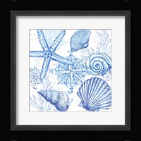 Coastal Sketchbook Shell Toss Fine Art Print