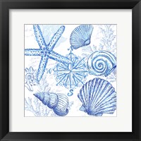 Coastal Sketchbook Shell Toss Framed Print