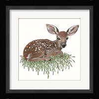 Fawn Fine Art Print