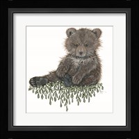 Baby Bear Fine Art Print