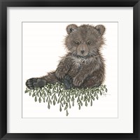 Baby Bear Framed Print