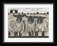 Three Sheep Fine Art Print