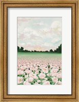 Pink Poppies Fine Art Print