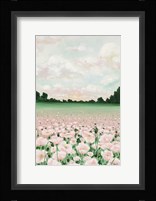Pink Poppies Fine Art Print