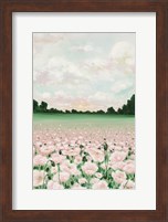 Pink Poppies Fine Art Print