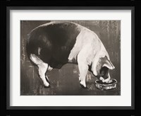 This Little Piggy Fine Art Print