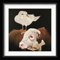 Patience and Pride Fine Art Print