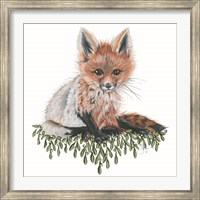 Baby Fox Fine Art Print