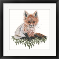 Baby Fox Framed Print