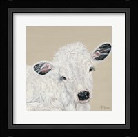 White Calf Fine Art Print