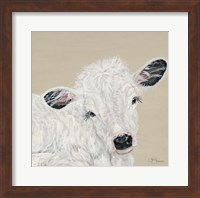 White Calf Fine Art Print