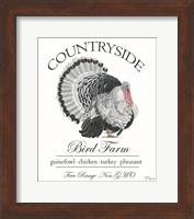 Bird Farm Fine Art Print