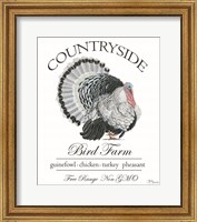 Bird Farm Fine Art Print
