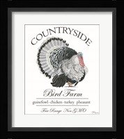 Bird Farm Fine Art Print