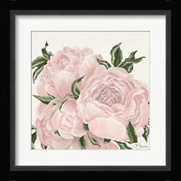 Pink Flowers Fine Art Print
