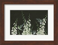 Hummingbirds Fine Art Print