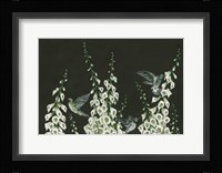 Hummingbirds Fine Art Print