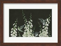 Hummingbirds Fine Art Print