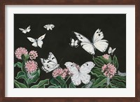 Butterflies Fine Art Print