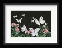 Butterflies Fine Art Print
