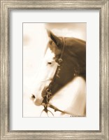 Sepia Dream Fine Art Print