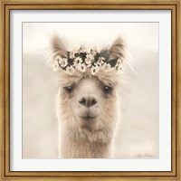 Alpaca with Flowers Fine Art Print