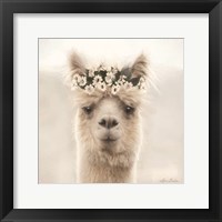 Alpaca with Flowers Fine Art Print