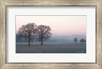 Sheep on a Cold Morning Fine Art Print