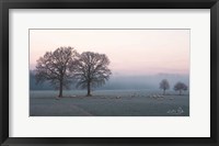 Sheep on a Cold Morning Fine Art Print