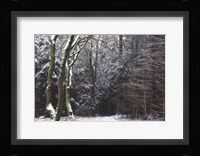 Gate to the Dark World Fine Art Print