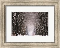 Winter Tunnel Fine Art Print