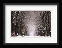 Winter Tunnel Fine Art Print