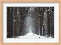 Snow in Markelo Fine Art Print