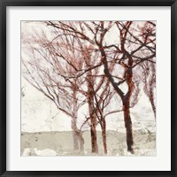 Rusty Trees II Framed Print